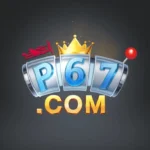 P67 Game