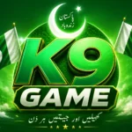 K9 Game
