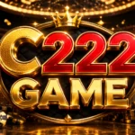 C222 Game