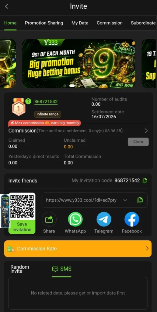 Y33 Game 